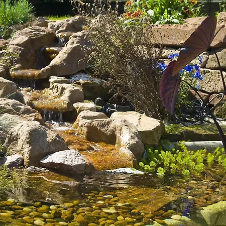 Mit Pool Und Ueberdachtem Balkon By Interhome Apartment *